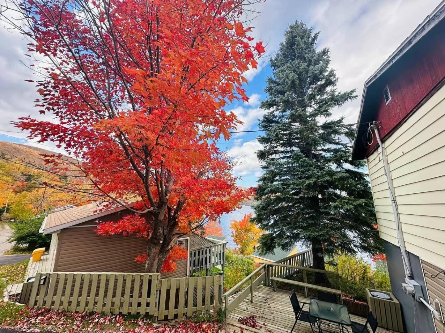 Knotty Pine Cottages, Suites & Motel Rooms Ingonish Exterior foto